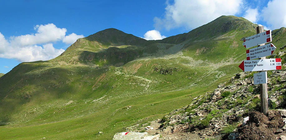 Immagini Locanda Alpina
