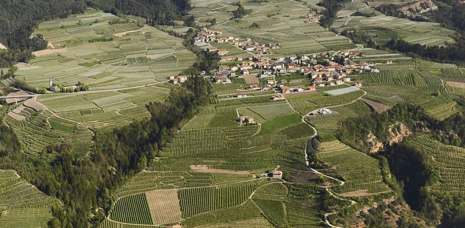 Immagini Locanda Alpina